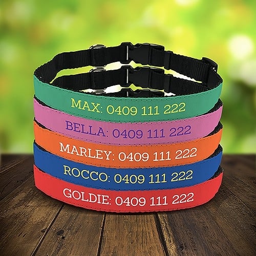 Pet Collars