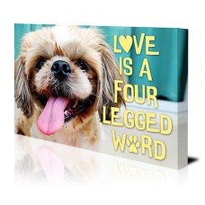 Four Legged Word Canvas Print