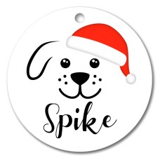 Spike Round Porcelain Ornament