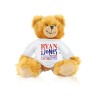 Boy Birth Teddy Bear