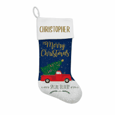 Ute Sequin Santa Stocking